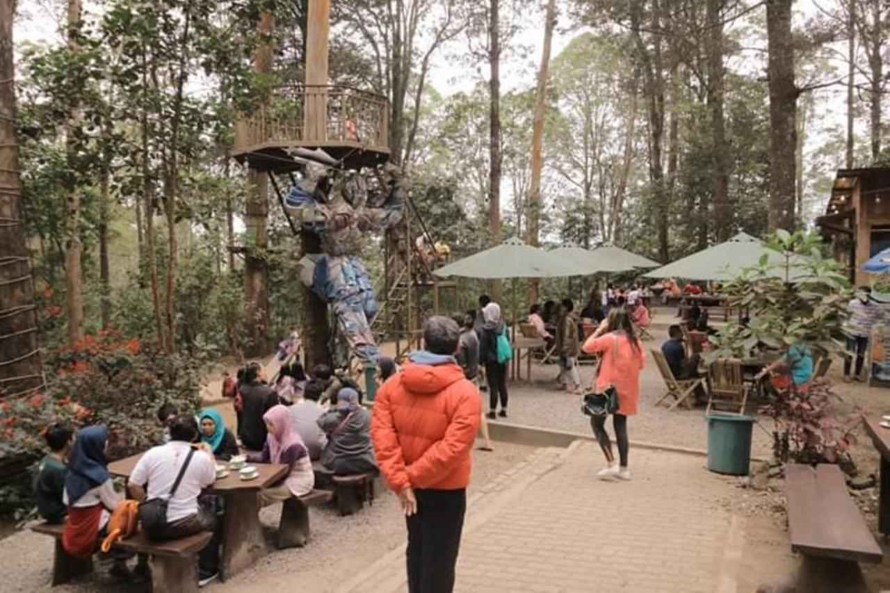 Lawu Forest Camp Sarangan Extérieur photo