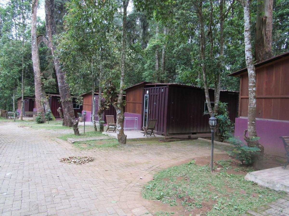 Lawu Forest Camp Sarangan Extérieur photo